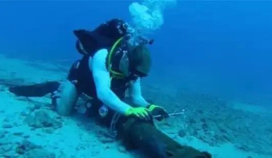 水下攝像
